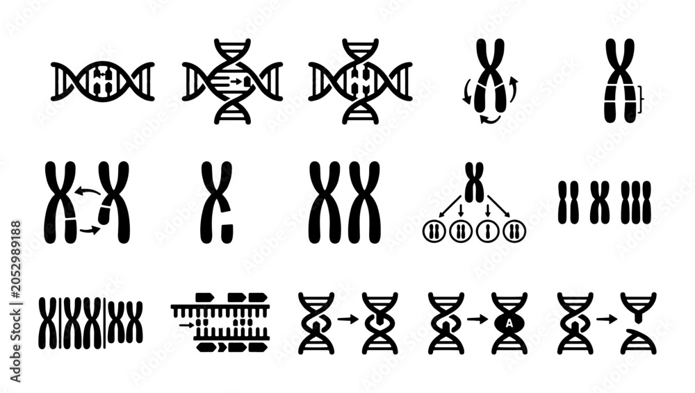 Obraz premium Scientific DNA and chromosome icon set, genetic mutation and helix vector symbols, biology research and biotechnology laboratory elements