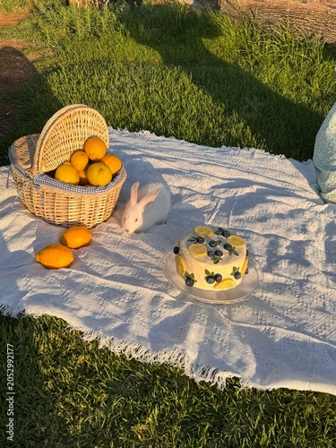 Picnic with cake and limons in the garden