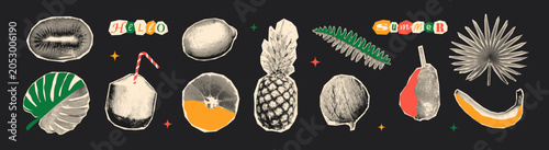 Summer fruits and tropical leaves halftone elements set. Collage paper cut out monstera coconut lemon palm leaf sticker. Vintage pop art icons contemporary summer vacation design. mixed media design.