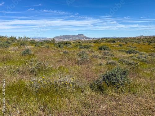 Natural scrubland landscape near Benalua de Guadix in Granada