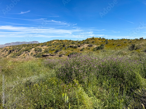 Natural scrubland landscape near Benalua de Guadix in Granada