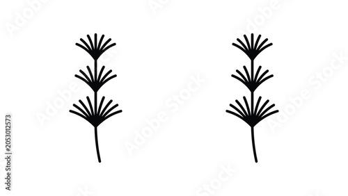 Konstfotografi Stylized palm leaf frond vector graphic in outline and solid black silhouette