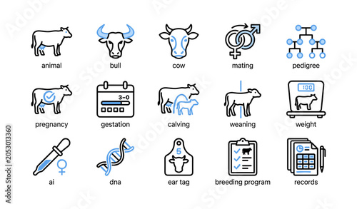 Cattle breeding icons showing reproduction and herd management