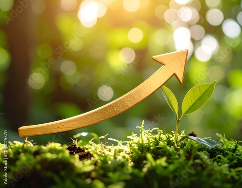 Golden arrow pointing upward beside a small, new plant growing out of moss, lit by sunlight in a forest