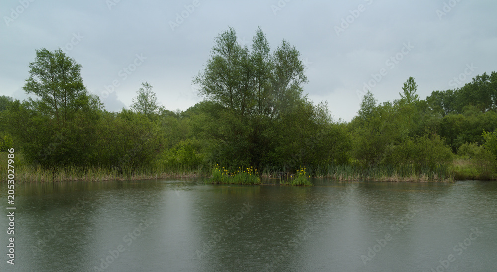 Obraz premium The Salburua Wetlands restored from being drained farmland. Parque de Salburua close to Vitoria Gasteiz, Basque Contry, Spain