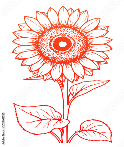 red flower vector illustration