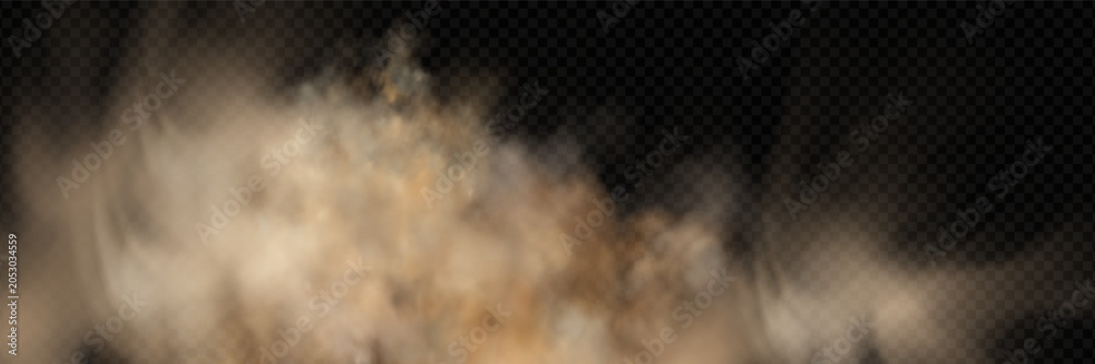 Obraz premium Brown sand and dirt particle burst effect.