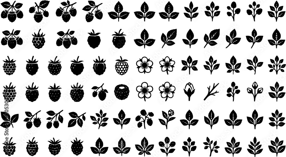 Obraz premium Black Raspberry and Berry Plant Icon Set with Fruit Silhouettes, Leaf Branches and Botanical Food Elements Isolated on White Background