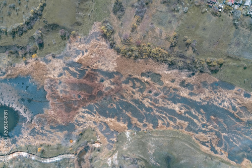 Swamp wetland landscape with dry reeds and winding water channels forming a natural abstract ecosystem drone shot