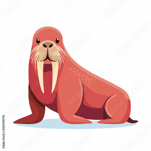 Cartoon Walrus Illustration