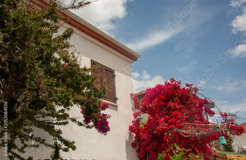 Charming Mediterranean Windows Framed by Colorful Shutters and Stone Walls in Turkey