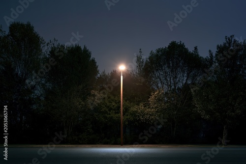 Lone lamp illuminates dark trees and empty road at night