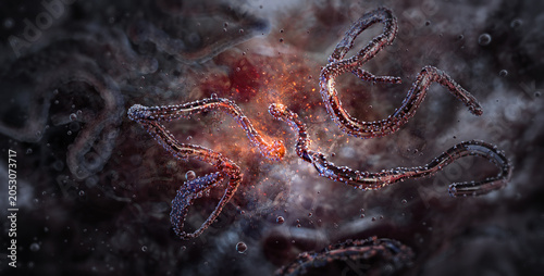 Schilderij op canvas Filovirus particles, Ebola Bundibugyo strain, Marburg virus hemorrhagic fever pathogen