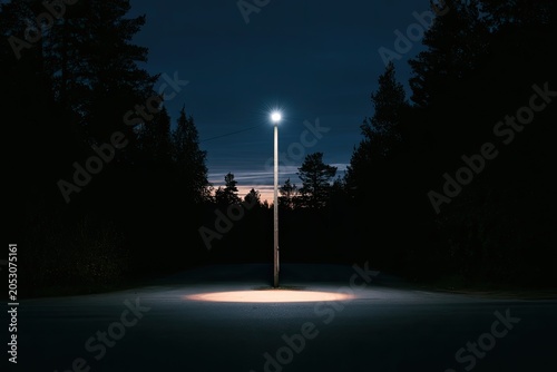 Solitary lamp post illuminates a dark forest road at twilight