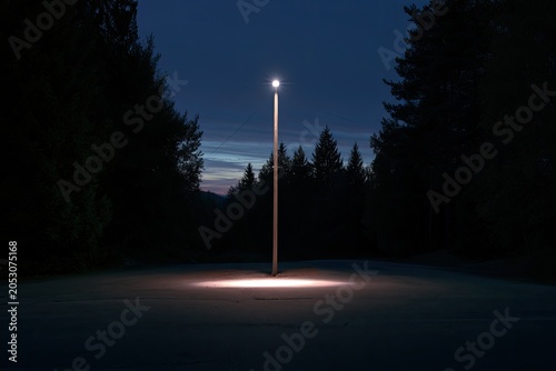 Solitary light illuminates a clearing in a dark forest at dusk