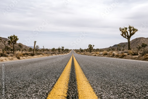 Endless asphalt road through desert with Joshua trees and mountains