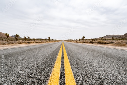 Endless asphalt highway with yellow double lines through arid desert landscape