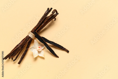 Gourmet vanilla pods with b...