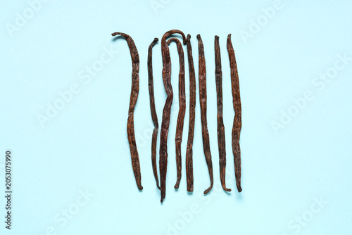 Gourmet vanilla pods on blu...