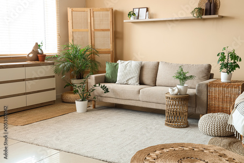 Obraz na plátně Comfortable sofa, rattan tables and houseplants in interior of living room