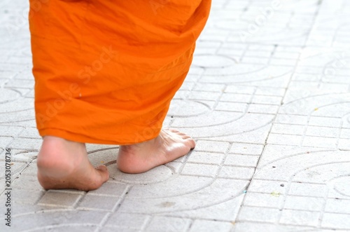 The image of the monk's feet walking for alms in the morning.