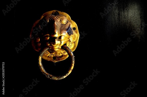 The golden mysterious beast at the door used as the door lock. This is the symbol of protection from evil.