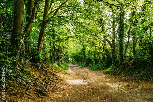 The Windmill Trail, Halnaker Hill , Boxgrove Village, West Sussex, England