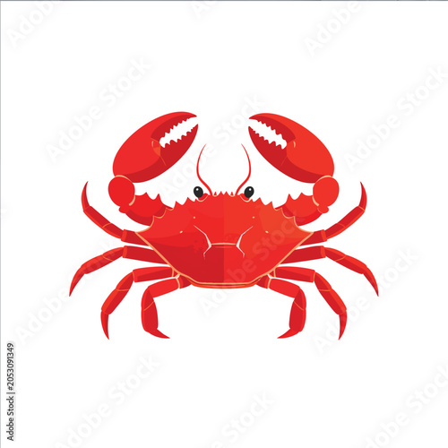 Illustration of a bright red crab on a white background.