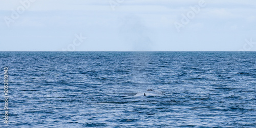 Foto Island (2026-05)