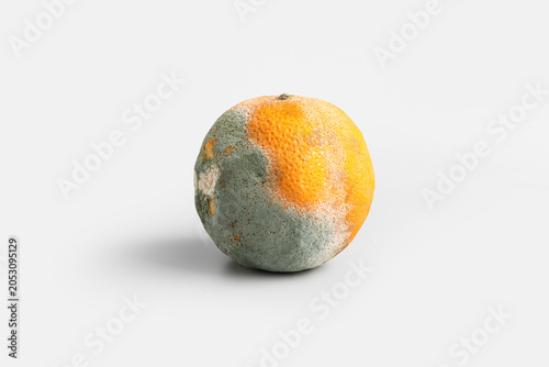 Konstfotografi Moldy orange on grey background