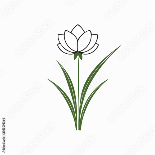 Minimalist Lotus Flower Illustration
