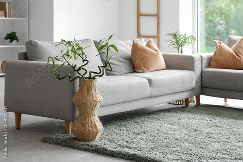 Interior of stylish living ...