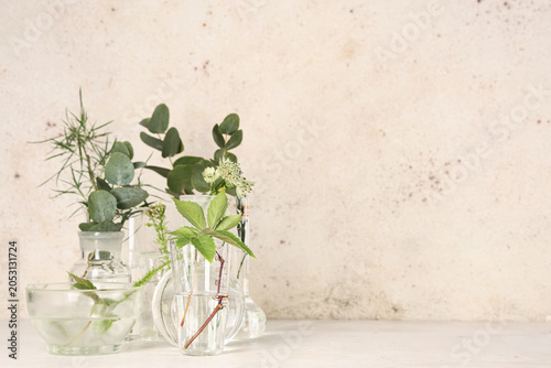 Laboratory glassware with herbs and plants on grunge beige background