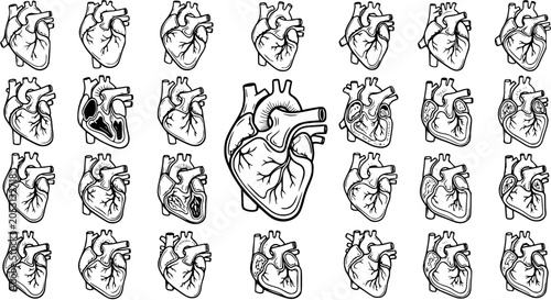 фотографія Black and White Line Art Collection of Human Heart Illustrations for Medical Use