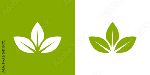 Obraz na plátně Green leaves on white and green backgrounds illustrate natural design