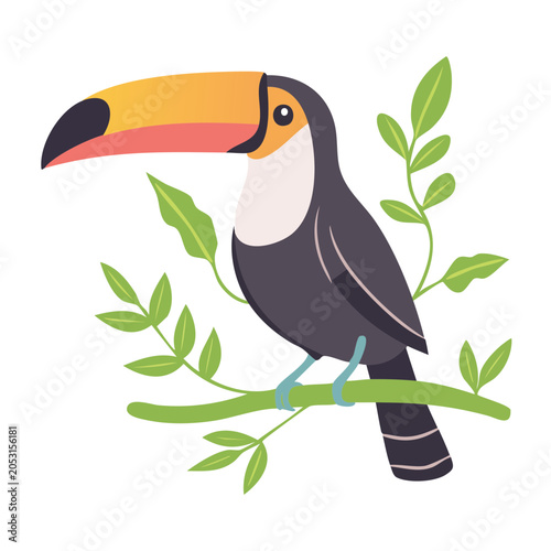 Toucan perched on a branch illustration