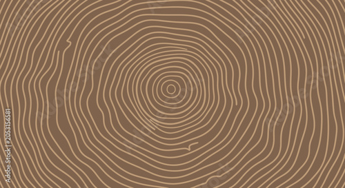 Wood Grain Texture, Tree Rings, Circular Pattern, Natural Wood Background