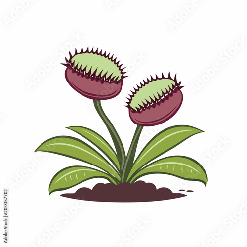 Illustration of a Venus Flytrap plant with two open traps