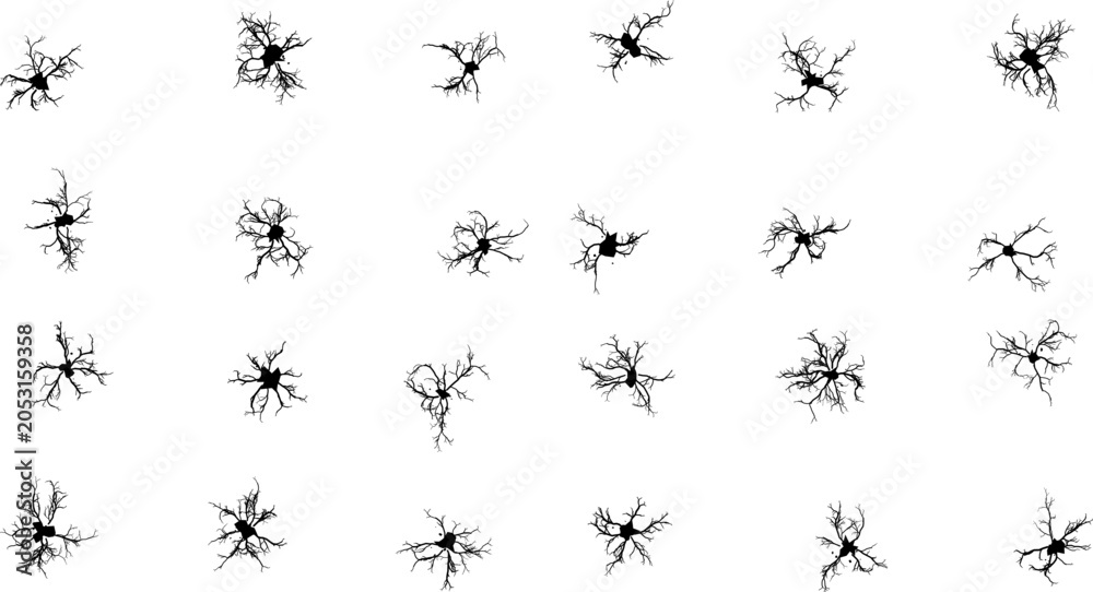 Fototapeta premium Black silhouette of neurons with branching dendrites on a stark white background