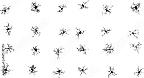 Fotografie Black silhouette of neurons with branching dendrites on a stark white background