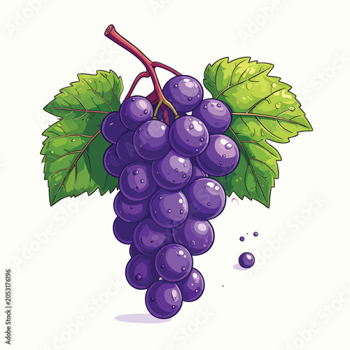 A vibrant illustration of a cluster of fresh ripe purple grapes with green leaves.