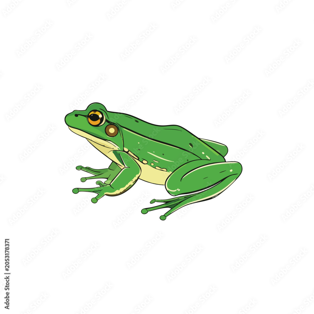 Obraz premium A green frog illustration with detailed skin texture and bright eyes.