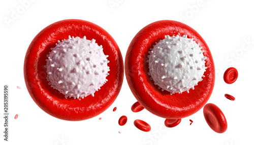 Realistic Red Blood Cells And White Blood Cells Isolated Transparent Background