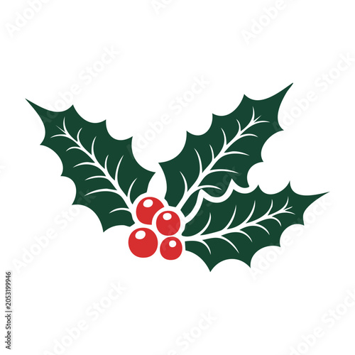 Christmas holly branch with red berries and green leaves
