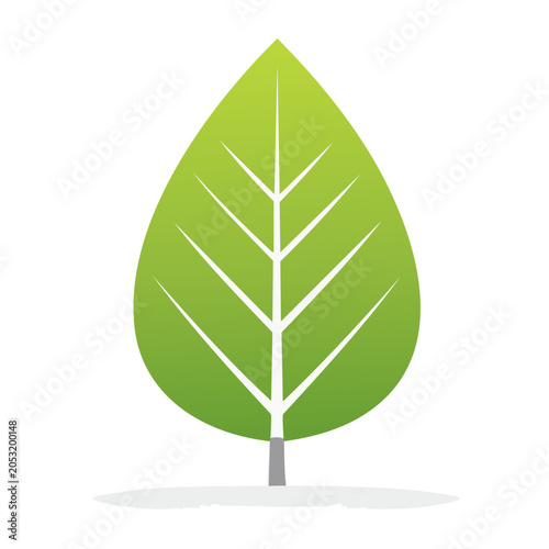 Stylized green leaf icon with white veins on white background
