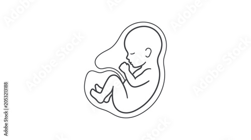 Foto Fetus in womb illustration