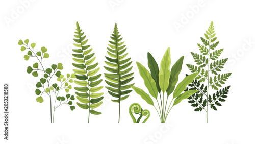 Φωτογραφία Fresh green ferns and foliage arrangement with delicate leaves