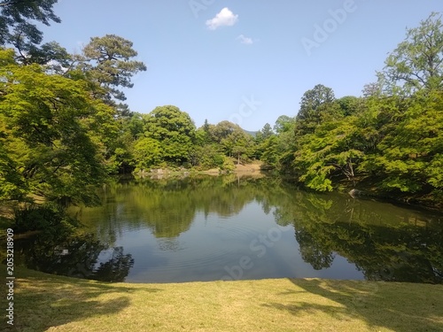 緑に囲まれた静かな日本庭園の池