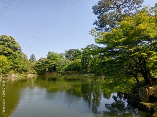 緑に囲まれた静かな日本庭園の池