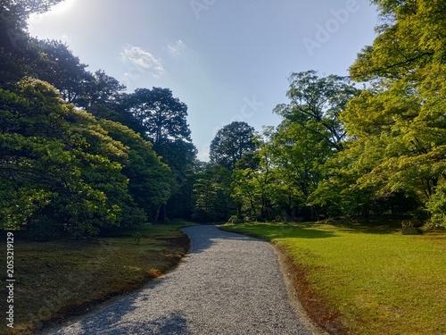新緑に包まれた日本庭園の小道